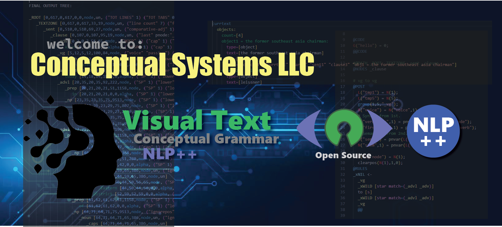 Conceptual Systems LLC